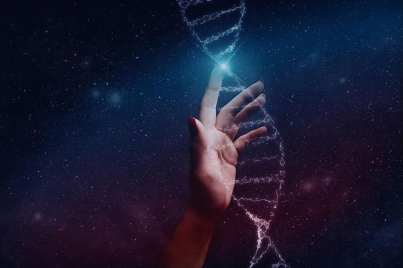 Yes, we also had gene editing in outer space. Yes, we also had gene editing in outer space.