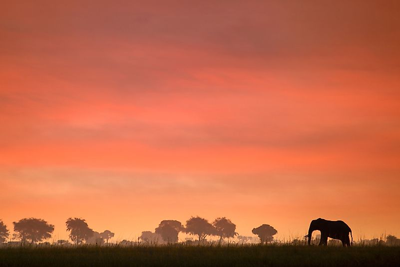 #10 Nyanga National Park (Mutarazi Falls National Park)