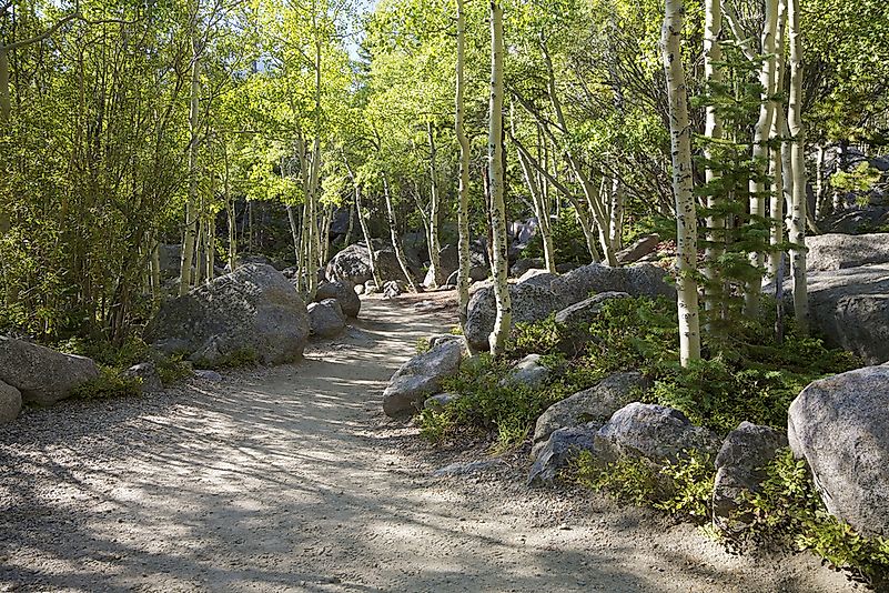 #1 North Country National Scenic Trail
