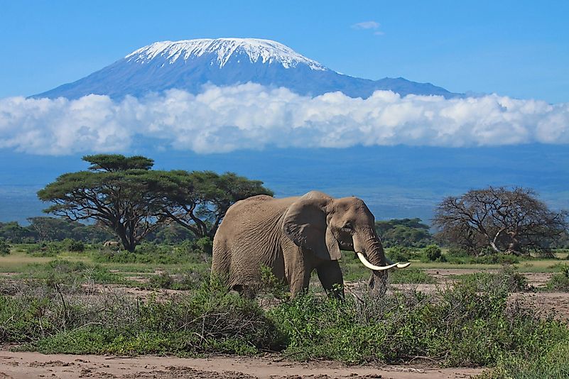 #2 Mount Kilimanjaro