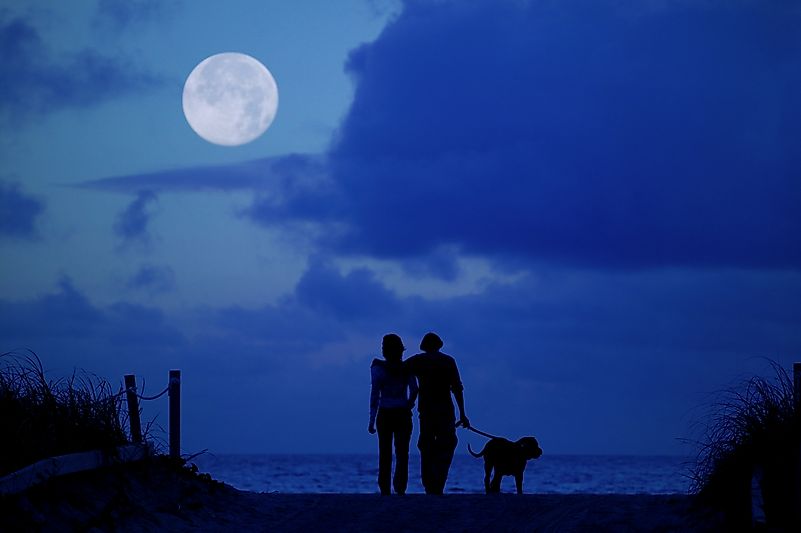 There would be no more gazing at the moon, no more romantic walks on the moonlight. There would be no more gazing at the moon, no more romantic walks on the moonlight.
