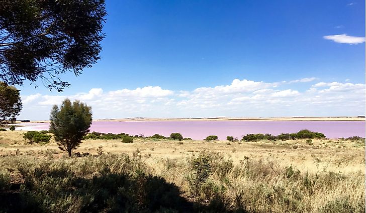 #1 Lake Bumbunga, Australia