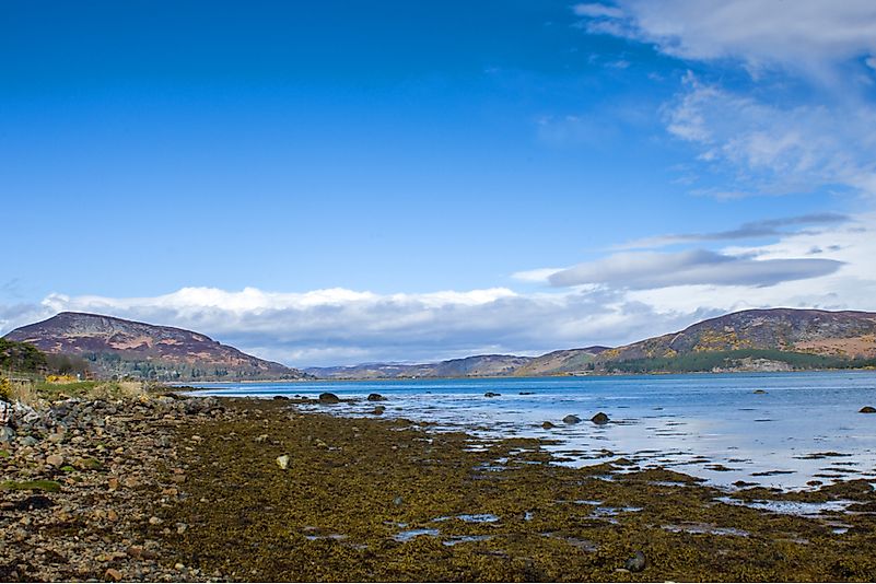 #3 Loch Fleet