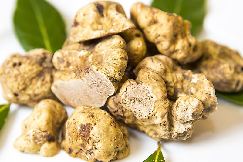 White truffles are known for their aromatic flavor.