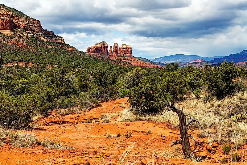 #8 Arizona National Scenic Trail