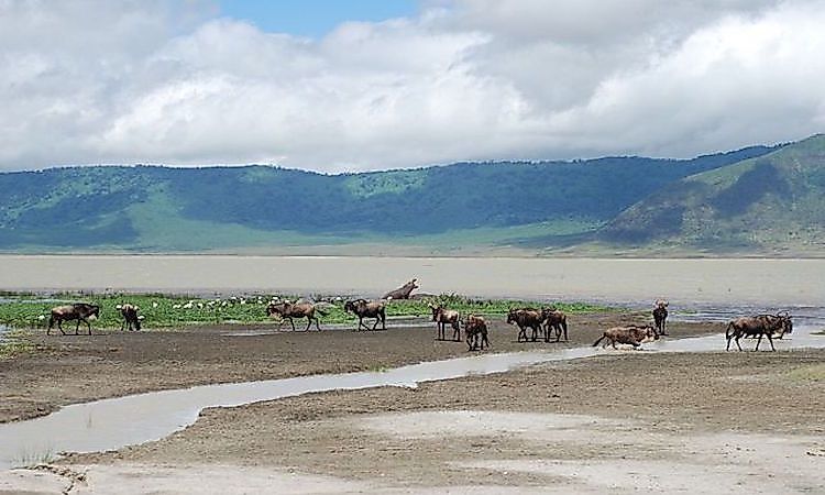 #5 Ngorongoro Crater