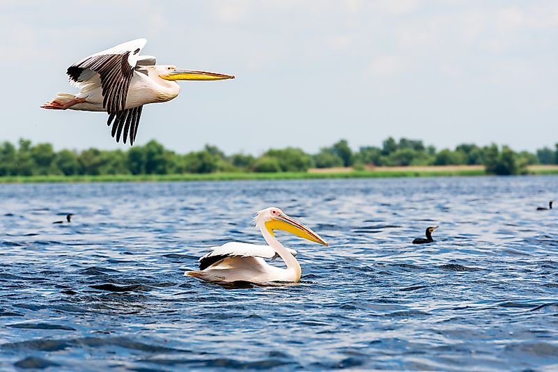 #13 Danube Delta