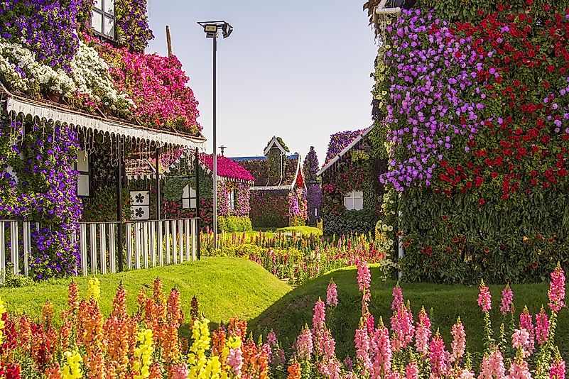 Structures inside Dubai Miracle Garden. Structures inside Dubai Miracle Garden.