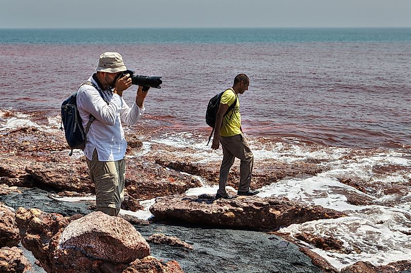 Photo credit: Grigvovan / Shutterstock.com. Photo credit: Grigvovan / Shutterstock.com.