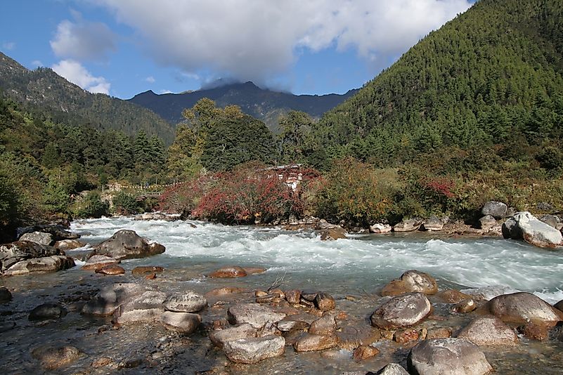#2 Jigme Dorji National Park