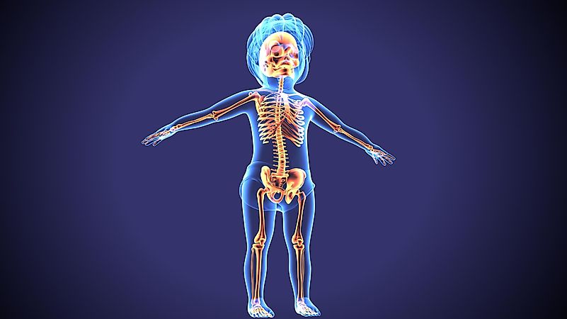 Yes, that is not a mistake; a human baby actually has 99 more bones than a human adult.