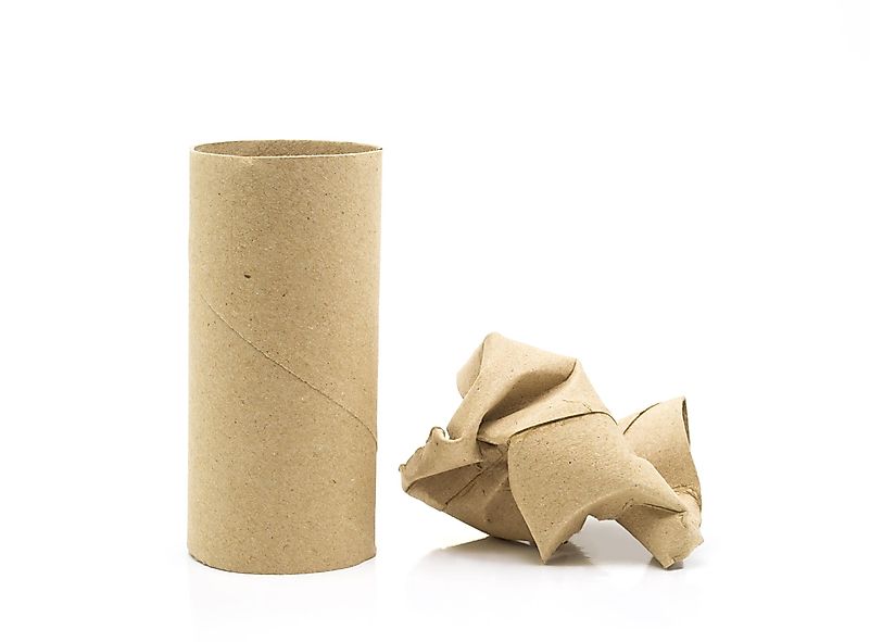 Você pode dificultar e colocar guloseimas dentro de um brinquedo ou em um rolo de papel vazio.