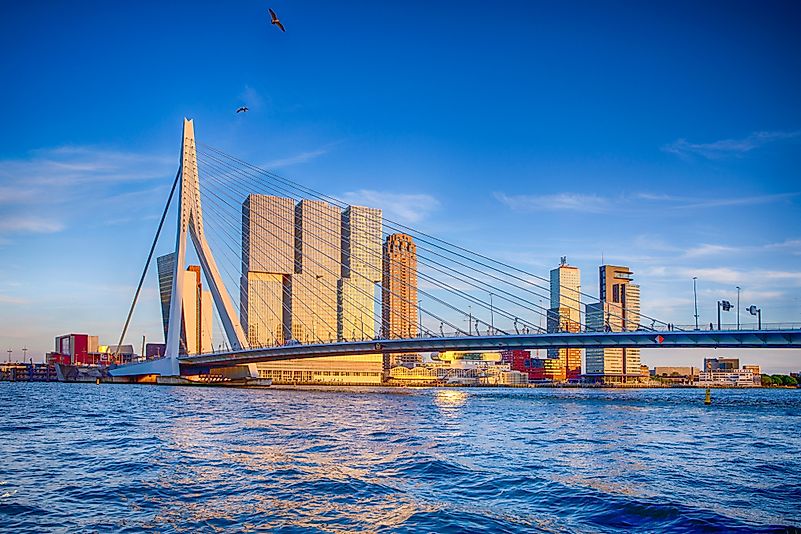 #3 Erasmusbrug