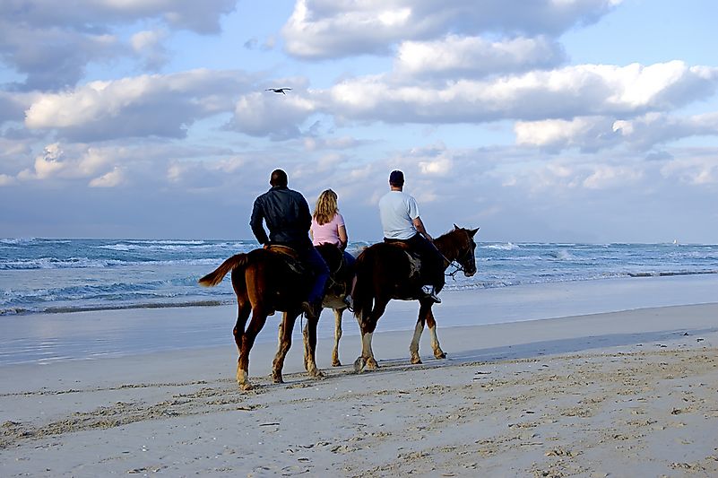 Horsesback riding on the beach in Hawaii. Horsesback riding on the beach in Hawaii.