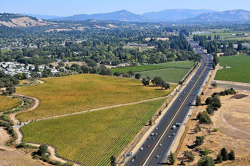#3 Santa Rosa