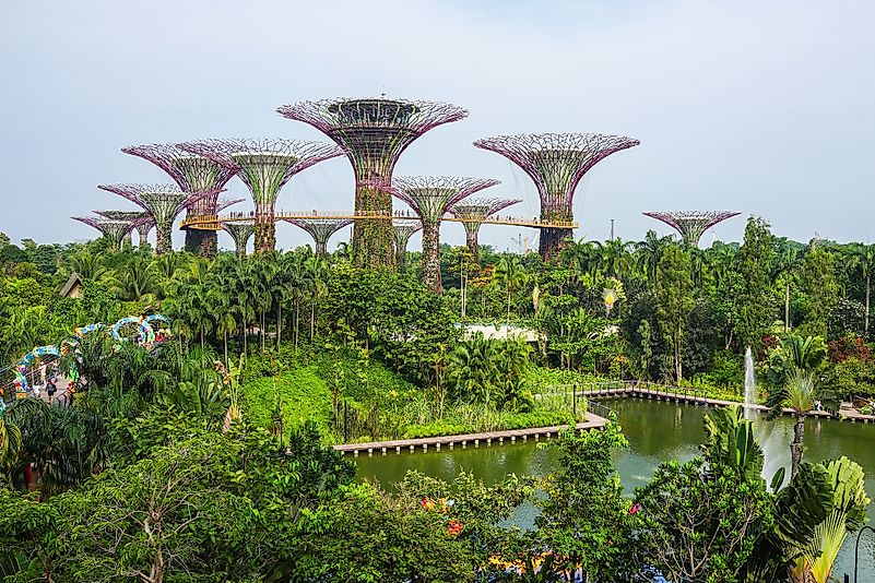 Aerial view of the botanical garden, Gardens by the Bay in Singapore. Image credit: Alan Tan Photography/Shutterstock.com Aerial view of the botanical garden, Gardens by the Bay in Singapore. Image credit: Alan Tan Photography/Shutterstock.com