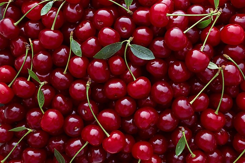 Cherries Cherries