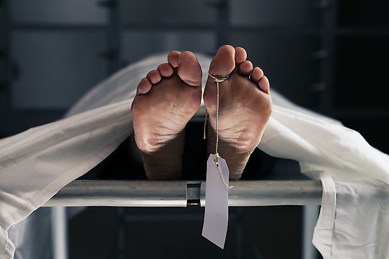 The person who inspected the dead bodies of Bonnie and Clyde in the mortuary actually received money for that - from Bonnie. The person who inspected the dead bodies of Bonnie and Clyde in the mortuary actually received money for that - from Bonnie.