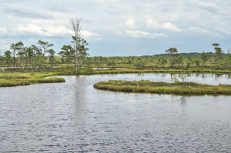 #3 Soomaa National Park