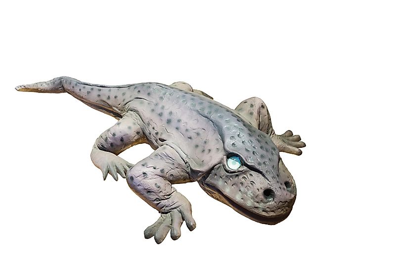 Temnospondyls, from which the modern amphibians originated. Temnospondyls, from which the modern amphibians originated.