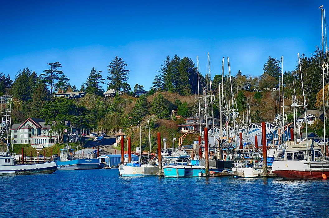 Fishing fleet in Yaquina bay harbor marina in Newport, Oregon, via steve estvanik / Shutterstock.com