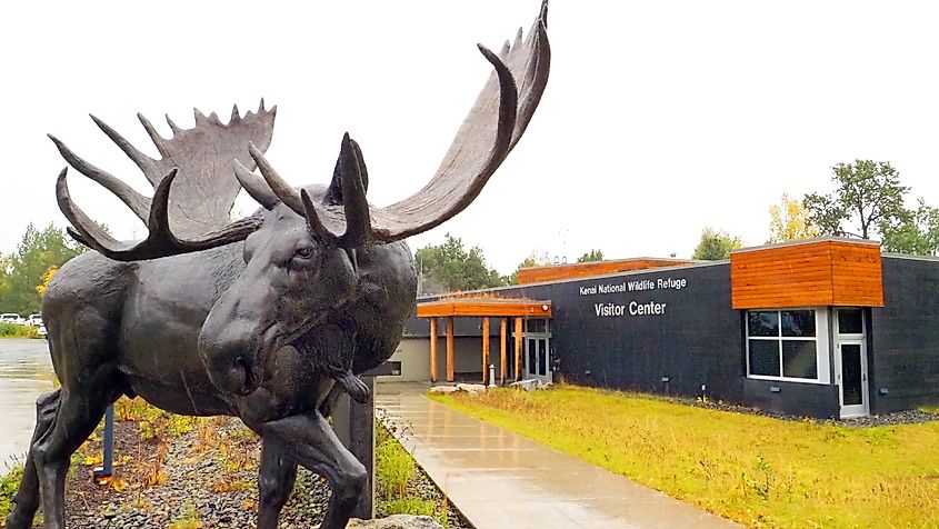 The Kenai National Wildlife Refuge Welcome Center.