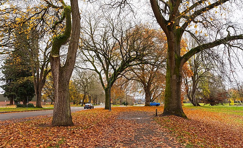 Lake Sacajawea Park in Longview, Washington.
