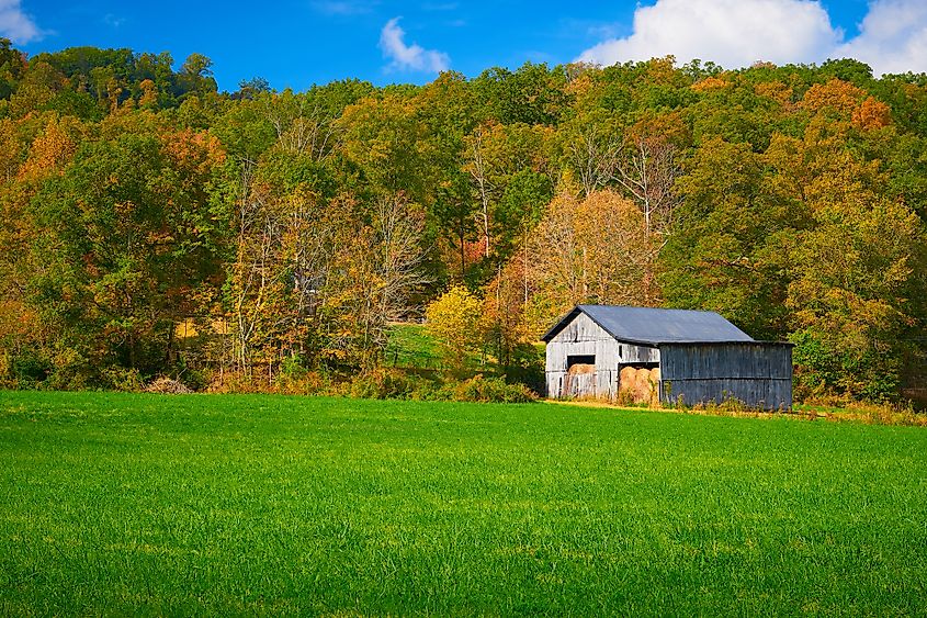 Fall foliage in countryside around Berea, Kentucky.