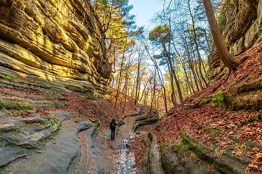 A hiker hiking through a canyon in the Starved Rock State Park, Illinois.