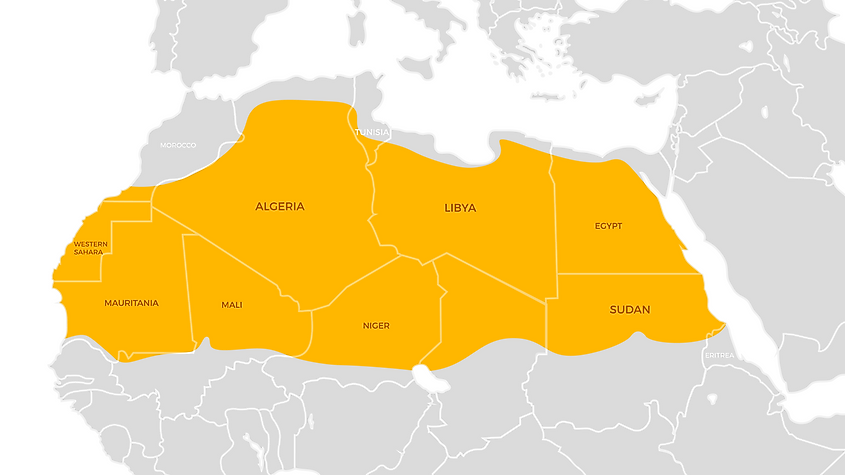 The world's largest hot desert, the Sahara Desert.