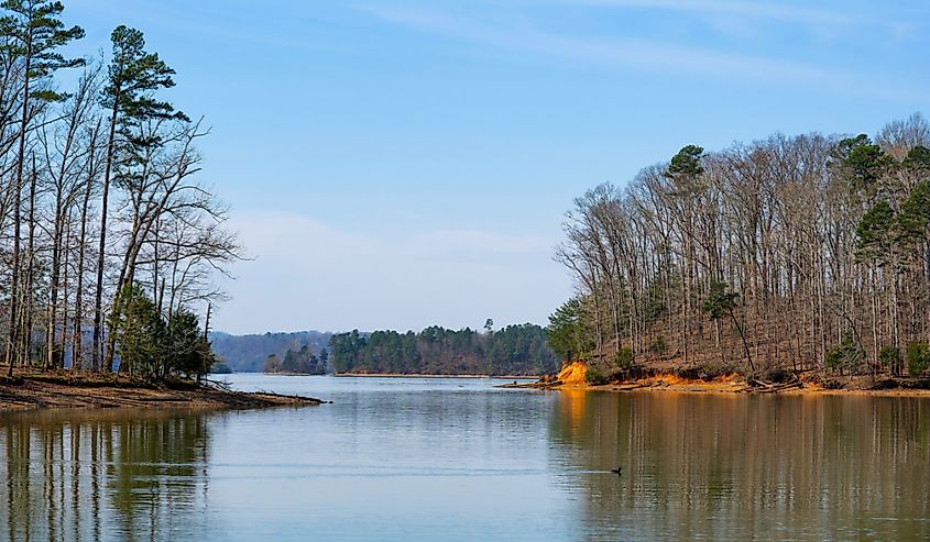 Close-up of a glowing red shoreline along the Chickamauga Lake in Harrison Bay State Park.