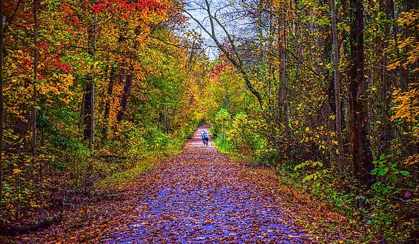 Swamp Rabbit Trail during autumn in downtown Greenville South Carolina SC