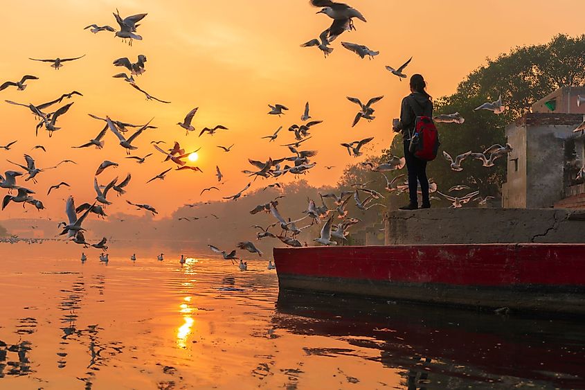 River Yamuna