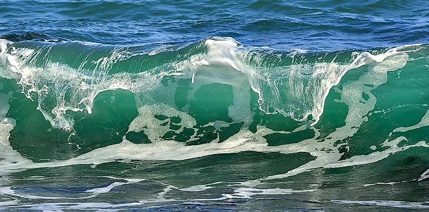 A wave crest breaking into white foam in green open water.