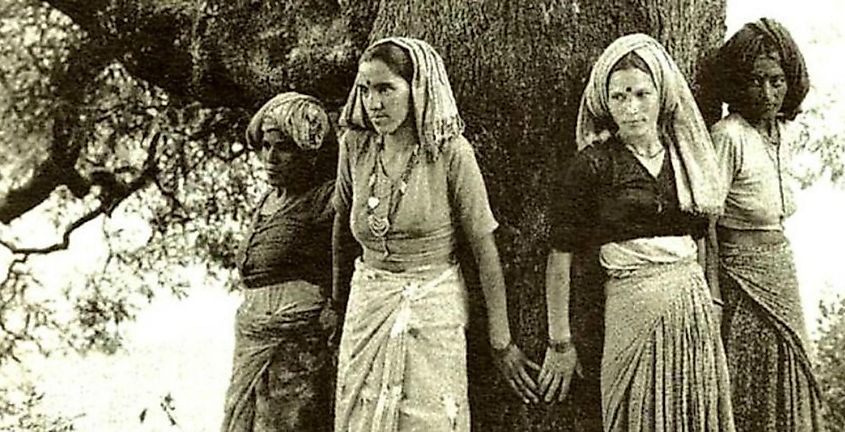 Chipko Movement