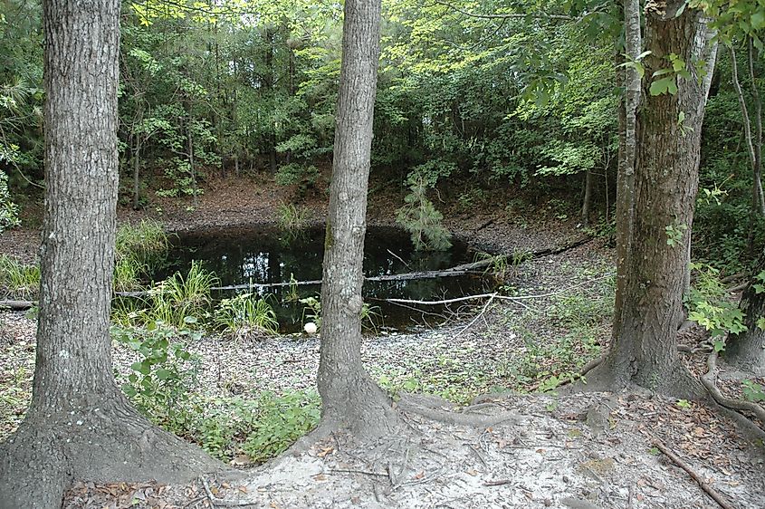 Mars Bluff Crater in Florence, SC