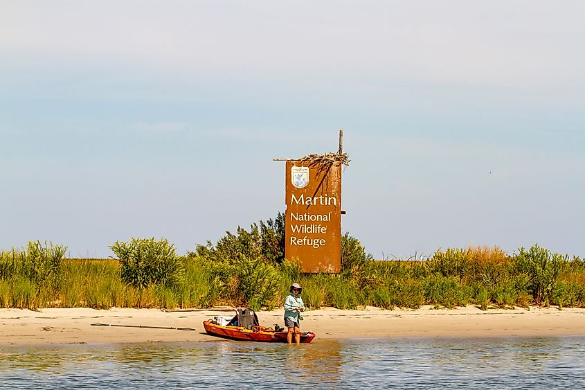 Woman fishing next to sign for U.S. Fisht and Wildlife Services Martin National Wildlife Refuge, via karenfoleyphotography / Shutterstock.com