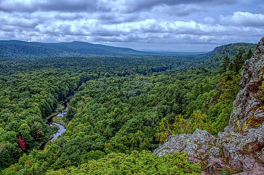 The dense wilderness of the Porcupine Mountains Wilderness State Park.