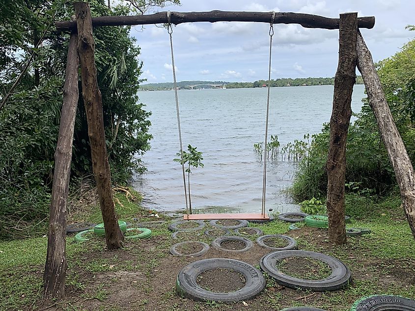 A simple rope swing overlooking a body of water.