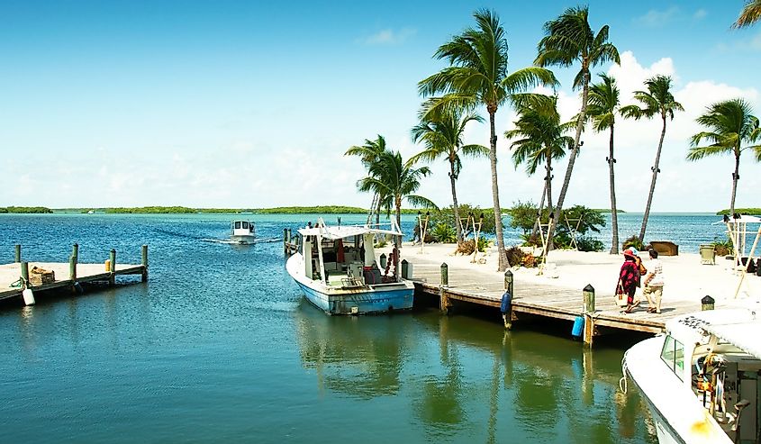 View of a marina at the gulf side (west) of the island, Islamorada, Florida
