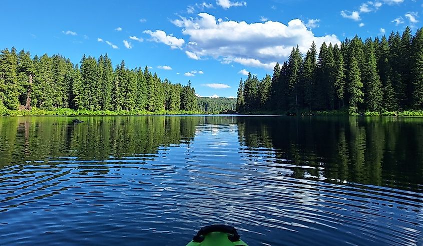 Kayaking on Clear Lake, Oregon.