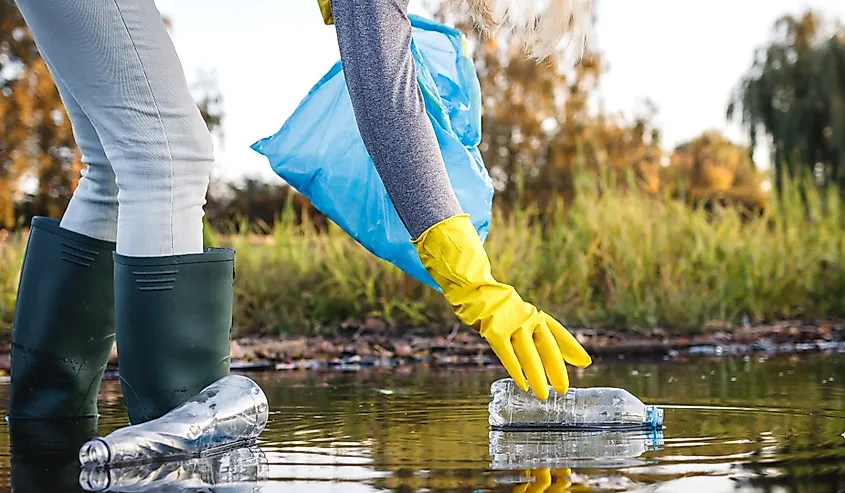 Environmental cleanup. Volunteer picking up plastic bottle from polluted river or lake. Water pollution with plastic garbage