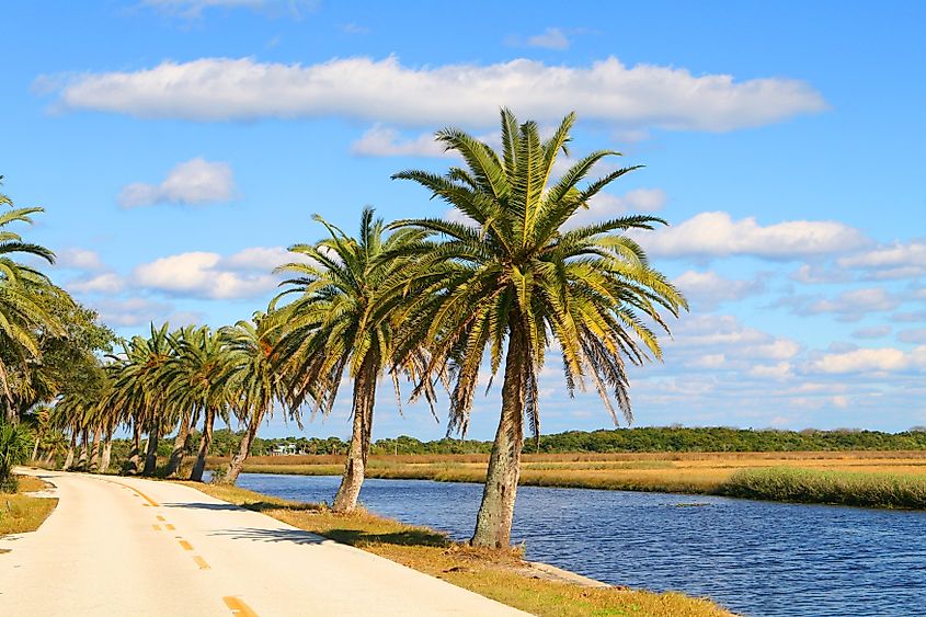 The Loop Drive in Ormond Beach, Florida