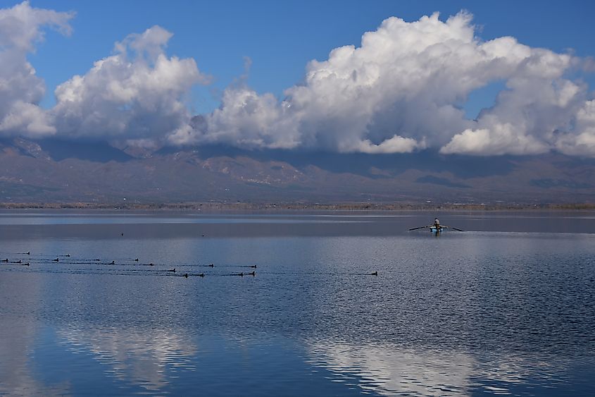 Fisherman and birds on Doiran Lake.