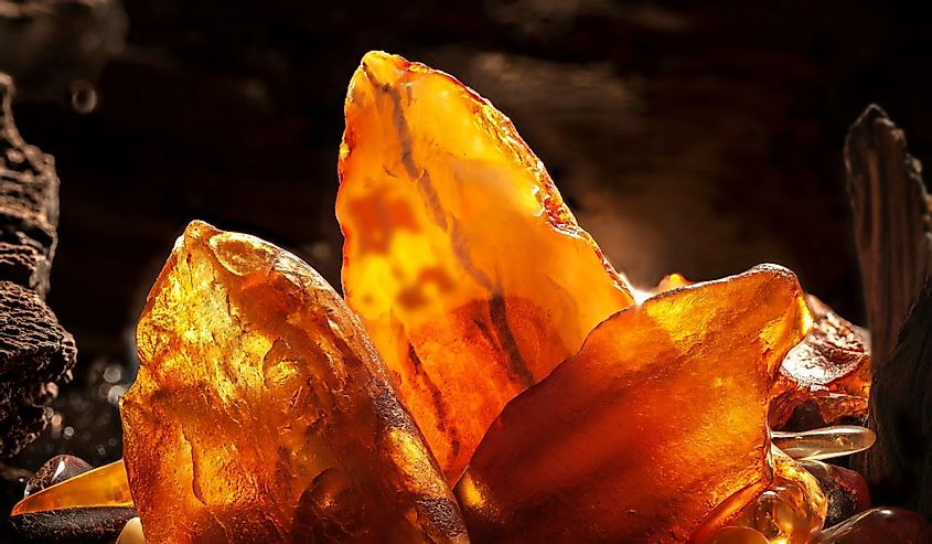 Beautiful natural amber rock. 