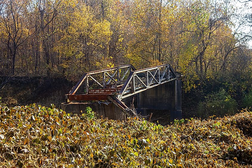 A bridge across a stream at the Meeman-Shelby forest State Park, Tennessee