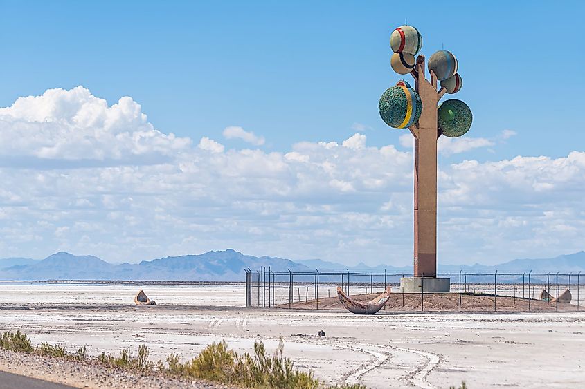 Metaphor: The Tree of Utah 