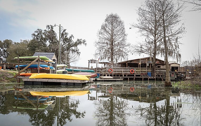 Champagne's Cajun Swamp Boat Tours in Breaux Bridge, Louisiana
