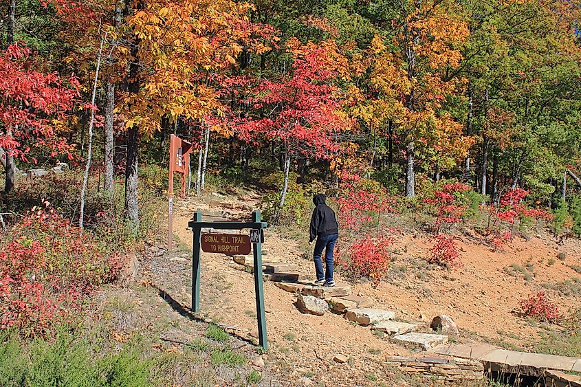 A beautiful trail through fall foliage at the Mount Magazine State Park.
