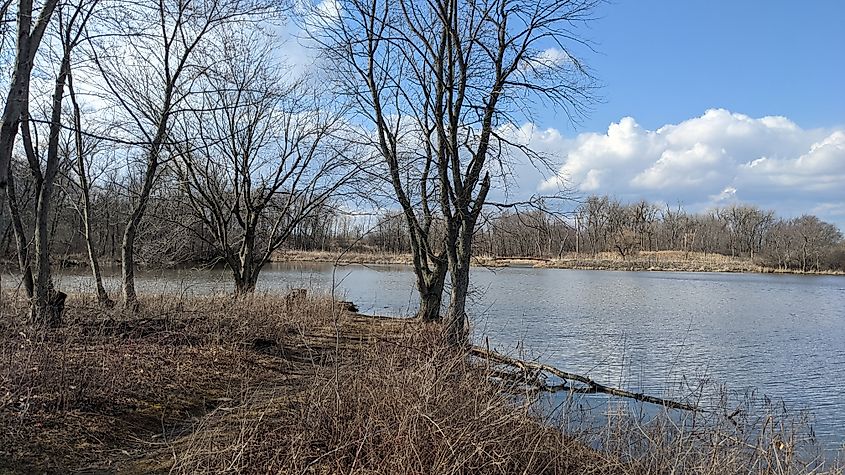 Picture of some trees and water, taken from the north side of the island located within the Monee Reservoir.